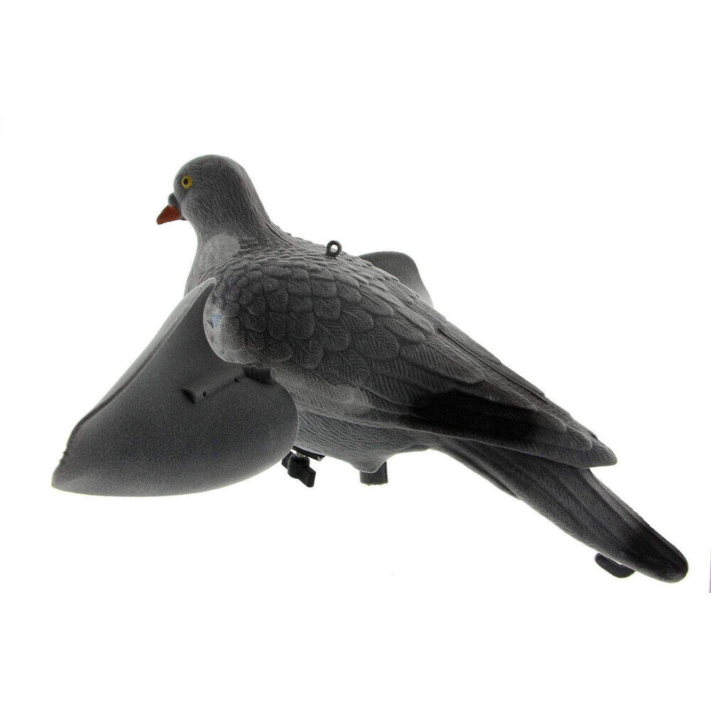 Appelant pigeon ailes tournantes