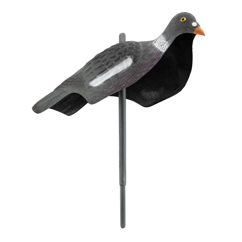 Appelant pigeon anglais