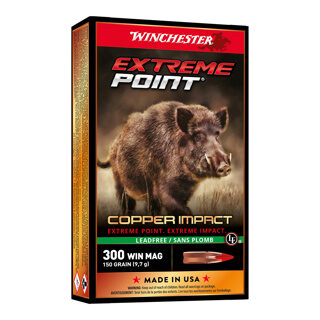 Balles 300WM Extreme Point Lf 150 gr X20 Winchester