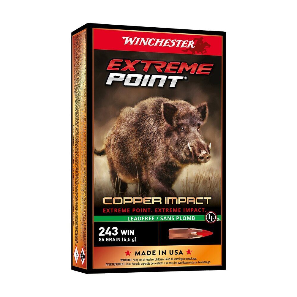Balles 300WM Extreme Point Lf 180 gr X20 Winchester
