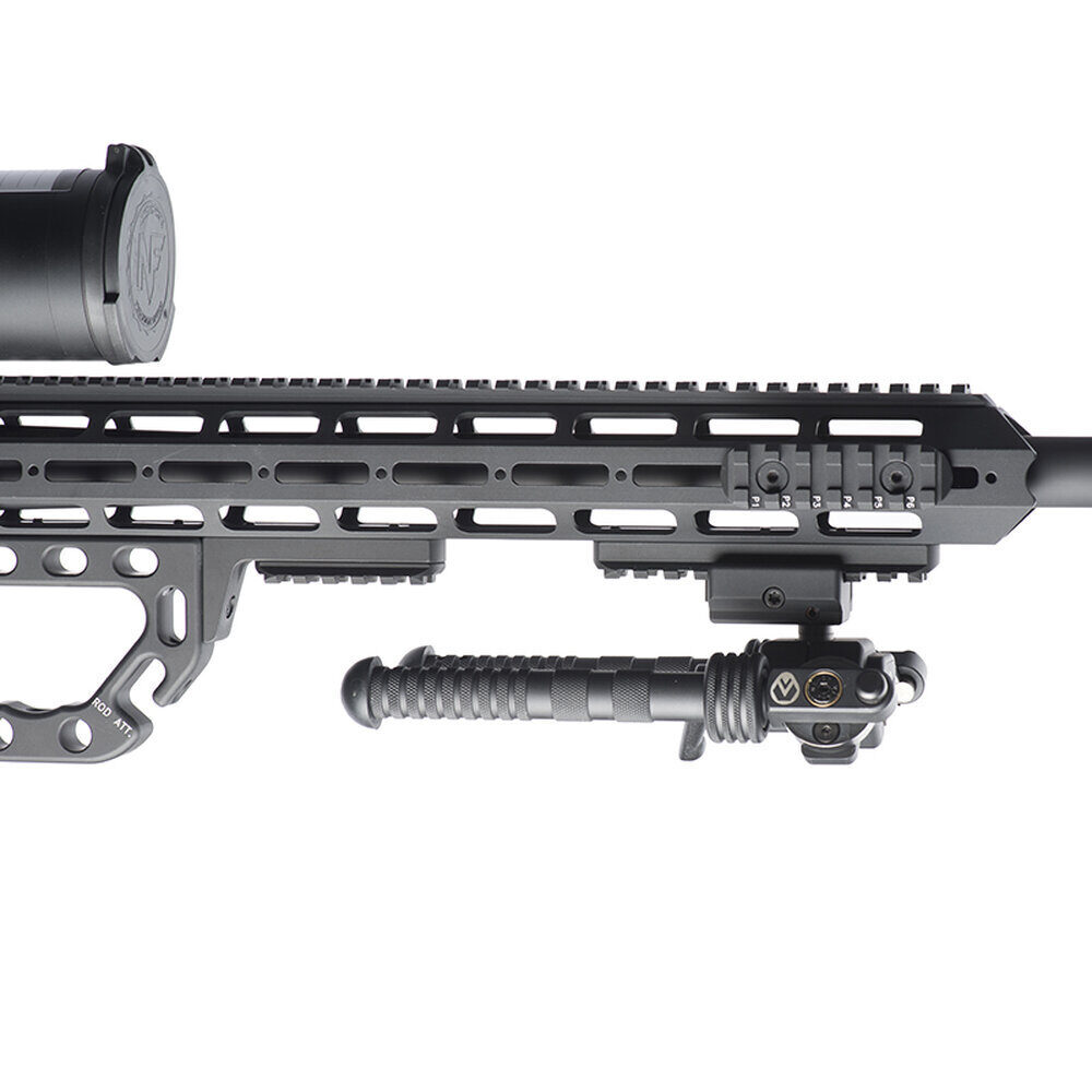 Bipied Basis Maximo Rome