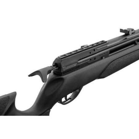 Carabine PCP Gamo Arrow 4.5mm & 5.5 mm 19.9J + lunette 3-9x40wr