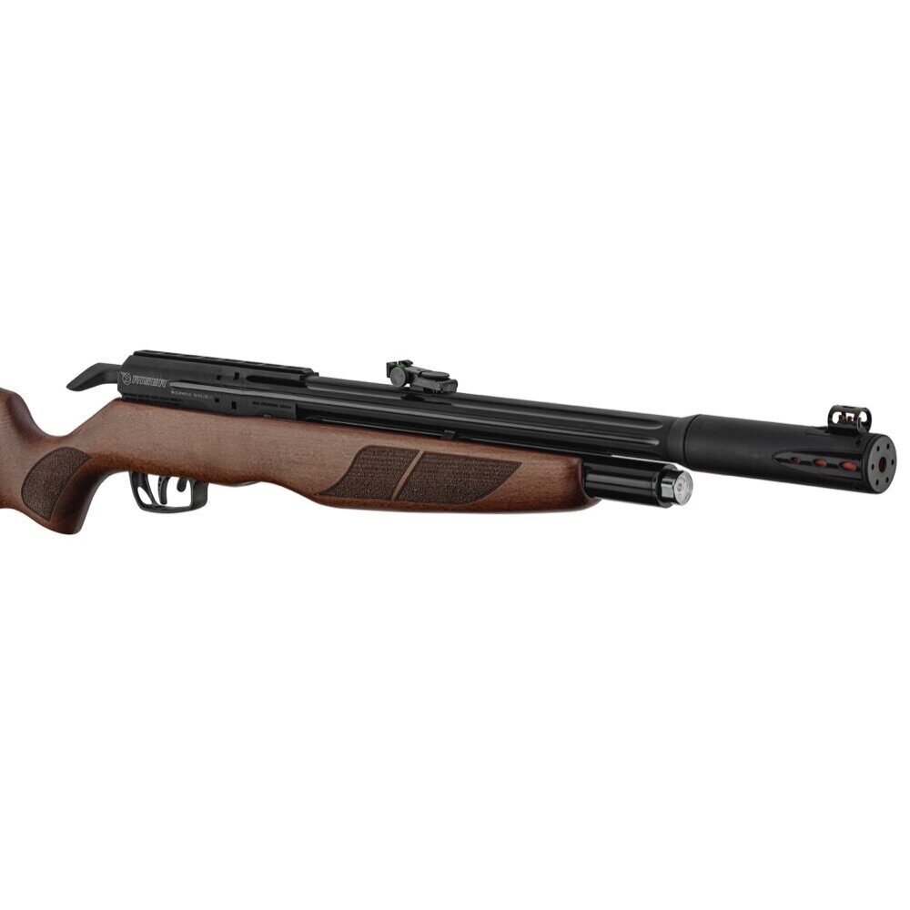 Carabine PCP Gamo RISER Punisher Cal. 5,5 mm 40 Joules