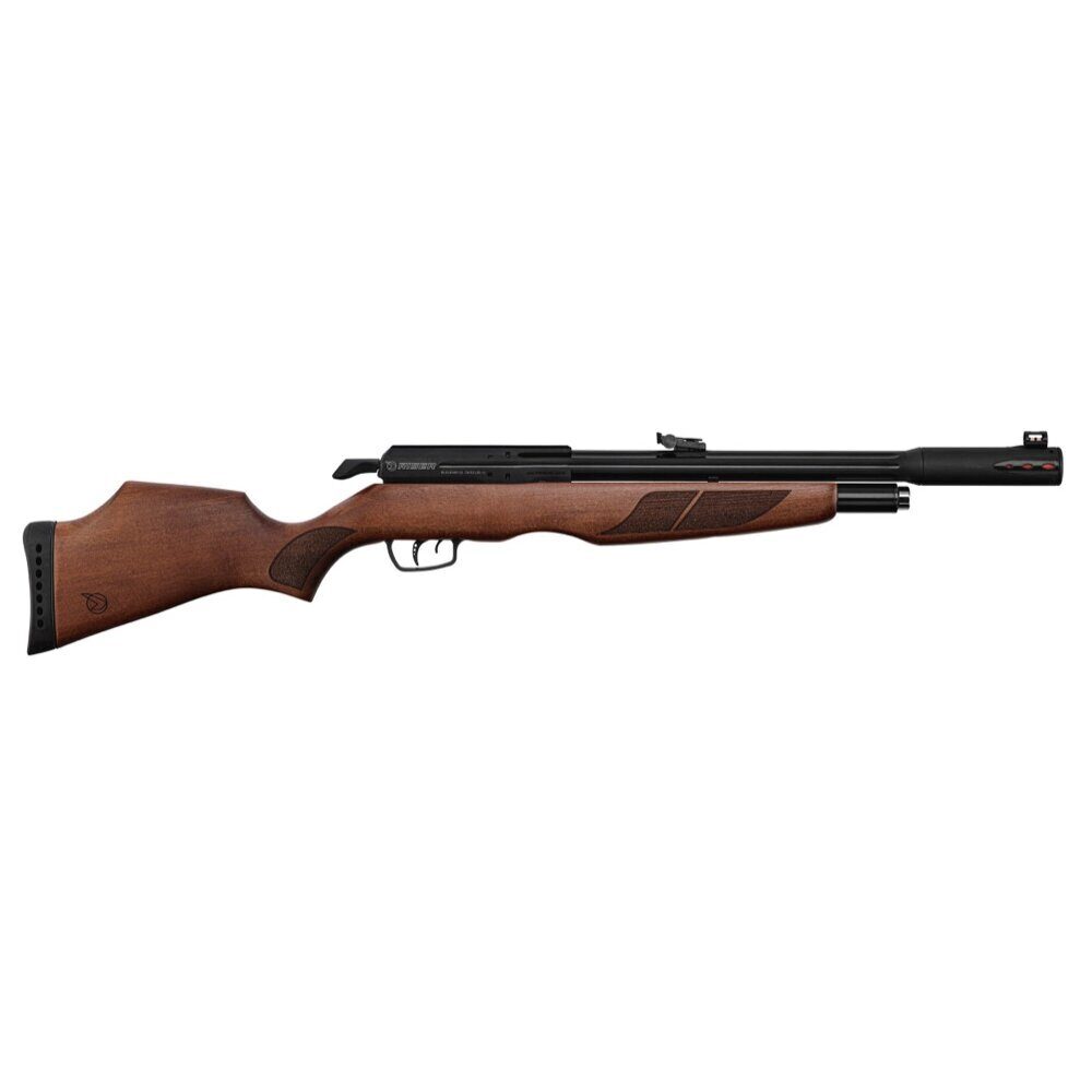Carabine PCP Gamo RISER Punisher Cal. 5,5 mm 40 Joules