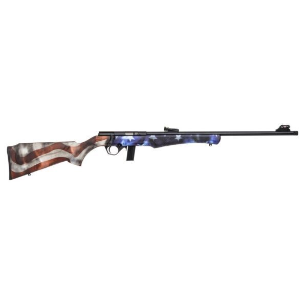Carabine Rossi 8122 22LR USA