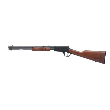 Carabine Rossi Gallery Bois 22LR