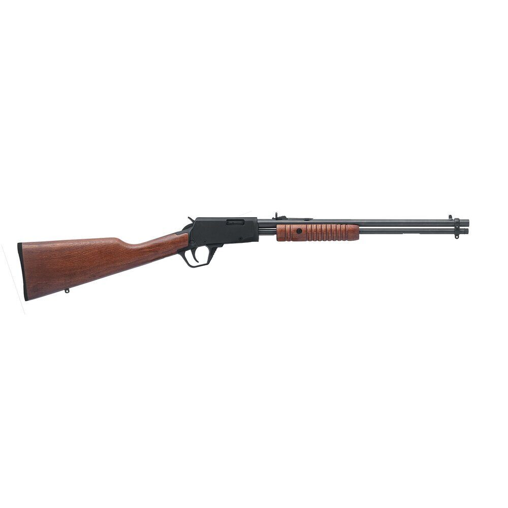 Carabine Rossi Gallery Bois 22LR