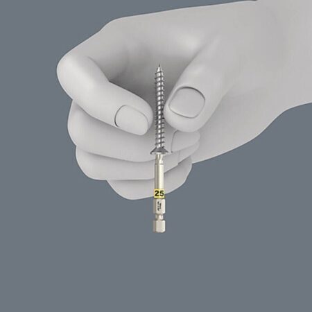 Embout de vissage Torx HF WERA