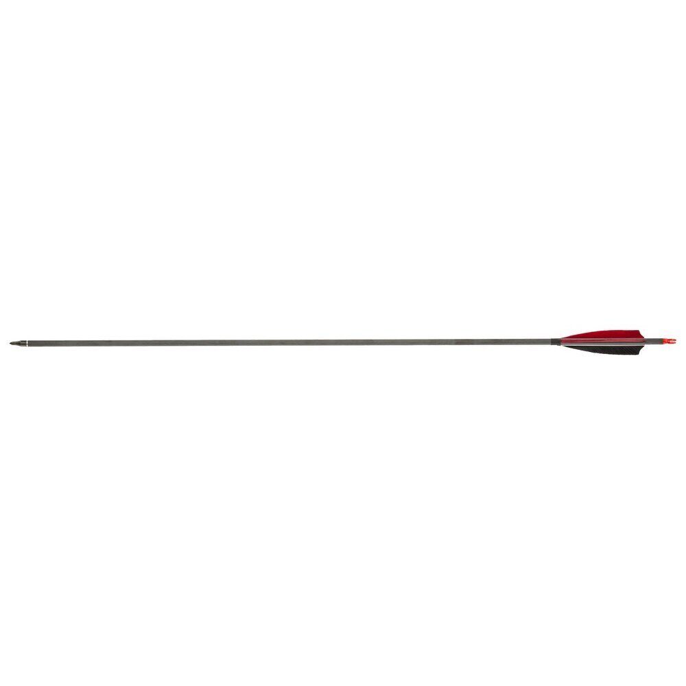 Flèches carbone 32 » spin 340 – plumes
