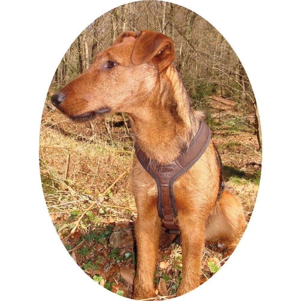 Harnais petit chien Niggeloh Light XS ou S marron