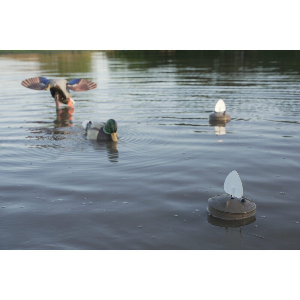 Leurre MOJO Flock A Flicker 2 x4 Appelant Mojo Canard