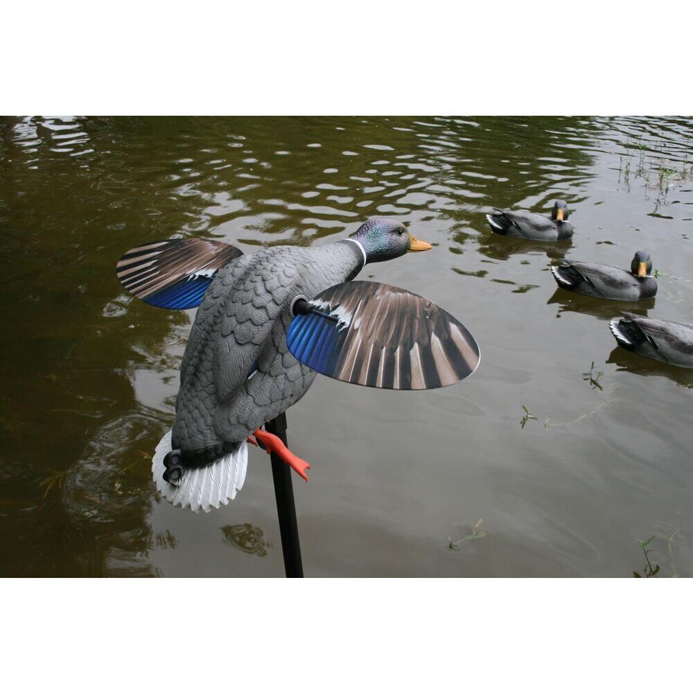 MOJO King Mallard Elite Series – Canard tournant avec batterie Li-ion 6V