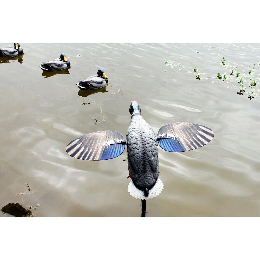 MOJO King Mallard Elite Series – Canard tournant avec batterie Li-ion 6V