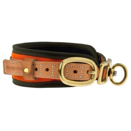 Niggeloh Collier Chien de Sang Orange Fluo