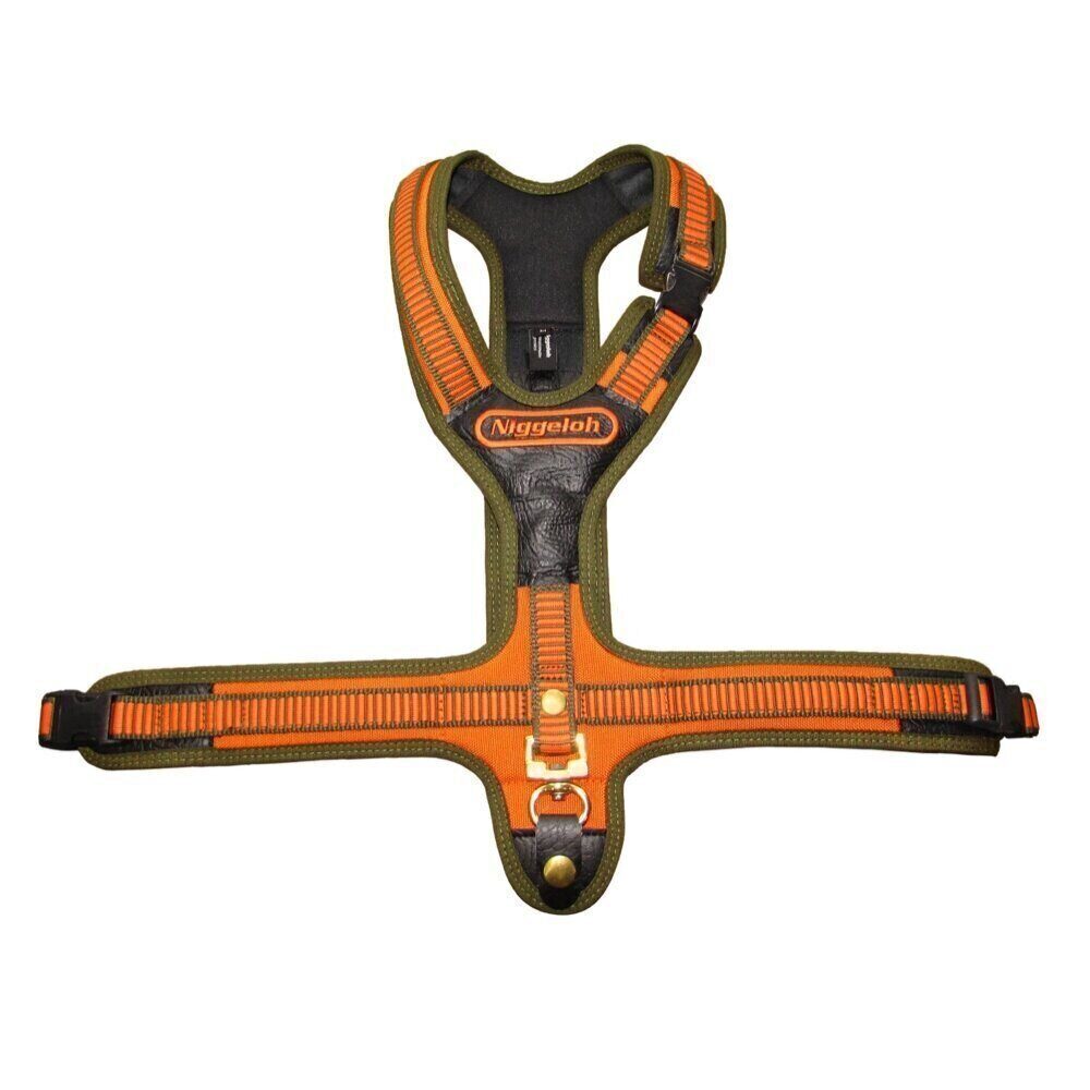 Niggeloh Harnais Néoprène orange pour chien