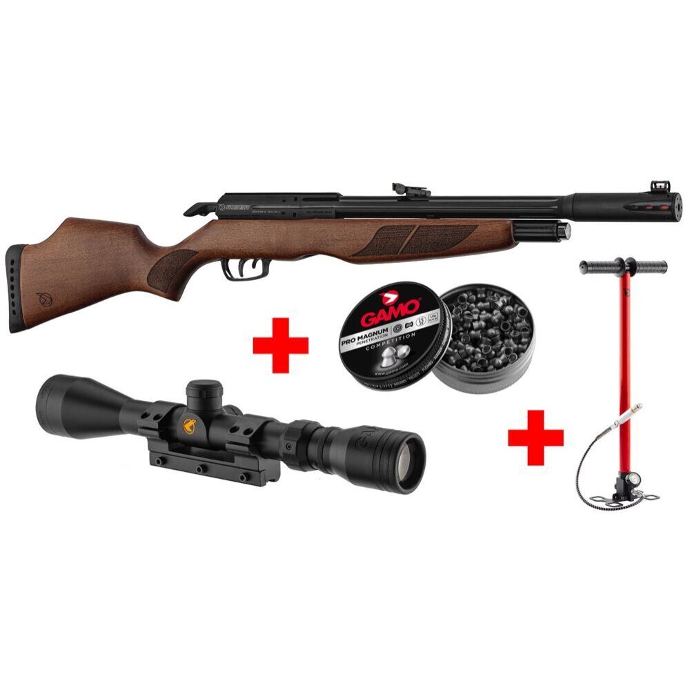 Pack Gamo Riser Punisher Cal. 5,5 mm 40 J + Lunette 3-9 x 40 WR + Pompe Flex PCP Arrow + Plombs Pro Magnum Penetration (x250)
