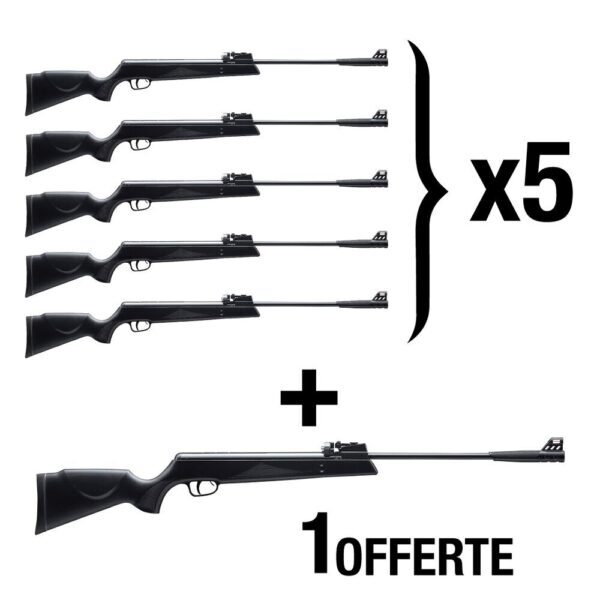 Pack Snowpeak Carabines SR1000X C4.5 19.9J X6