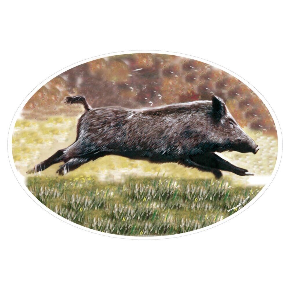 Stickers animaliers Sanglier