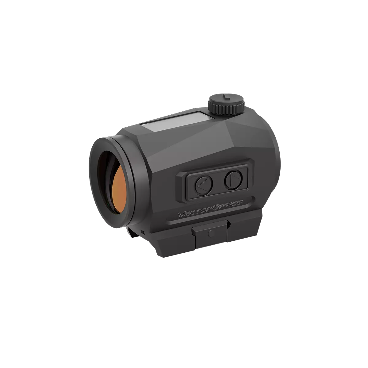 Point Rouge Scrapper 1x25 2 Moa – Image 2